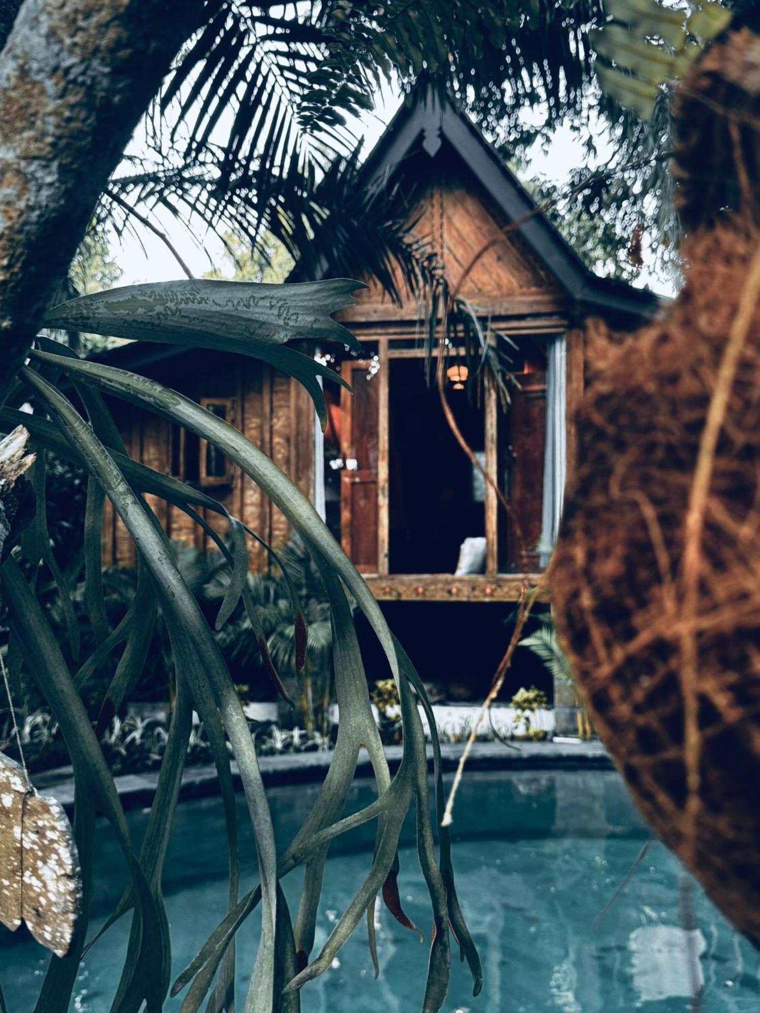 Resort Jungleroom Canggu 외부 사진